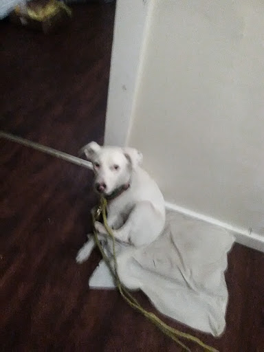 Auto Parts Store «NAPA Auto Parts - Carrollton Auto Parts Inc», reviews and photos, 618 Highland Ave, Carrollton, KY 41008, USA