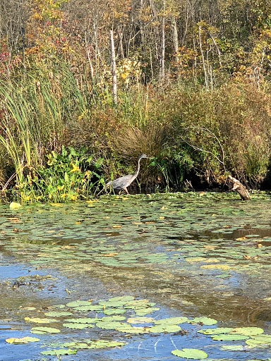 Resort «Six Flags Great Escape Lodge & Indoor Water park», reviews and photos, 89 Six Flags Drive, Queensbury, NY 12804, USA