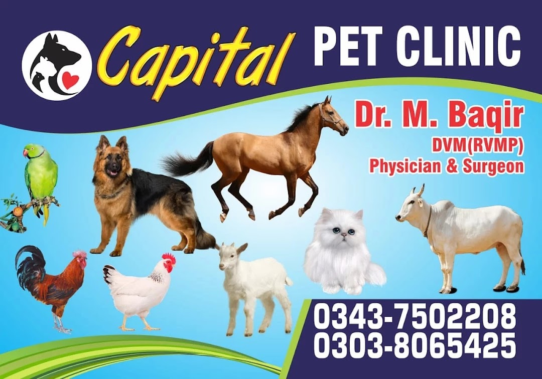 Capital Pet Clinic