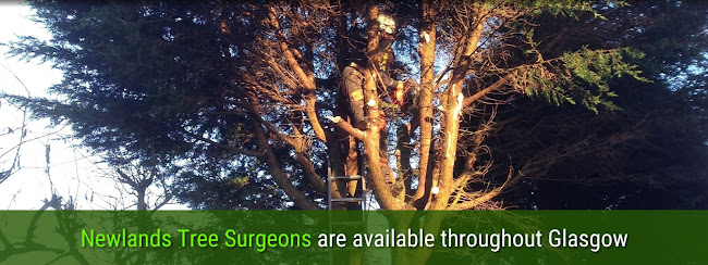 Newlands Tree Surgeons