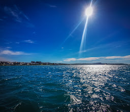 Southern Cross Cruises photo