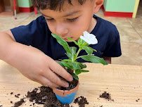 Wonder World Daycare & Learning Center VIP - Photo 2 - Car repair in El Paso, TX, El Paso