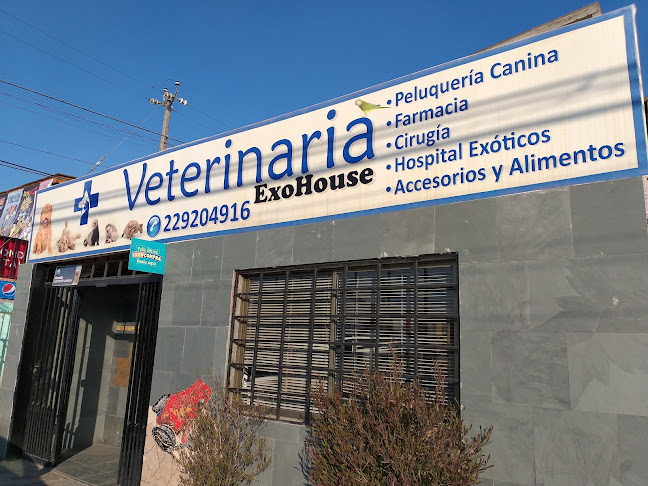Opiniones de Clínica Veterinaria Exohouse en Puente Alto - Veterinario