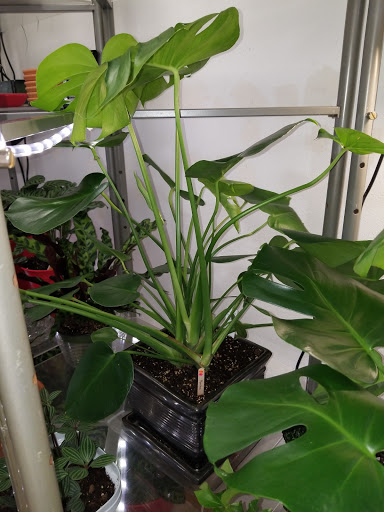 Florist «La Crosse Floral», reviews and photos, 2900 Floral Ln, La Crosse, WI 54601, USA