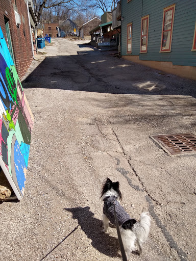 Coffee Shop «Scribbles Coffee Co», reviews and photos, 237 N Water St, Kent, OH 44240, USA