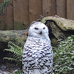 Photo n° 2 de l'avis de karen.o fait le 07/05/2023 à 06:40 pour Zoo de La Flèche à La Flèche