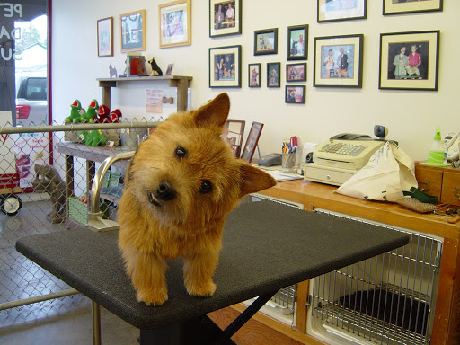 Pet Groomer «My Pal Pet Supplies & Grooming», reviews and photos, 817 W Napa St, Sonoma, CA 95476, USA