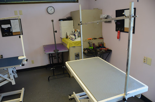 Dog Trainer «Mad 4 My Dog», reviews and photos, 702 E Temperance St, Ellettsville, IN 47429, USA