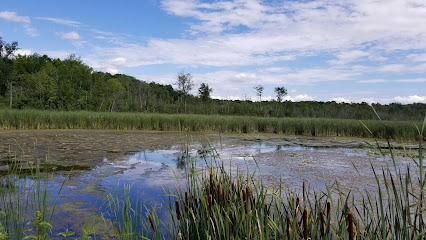 Beaver River Wetland Conservation Area