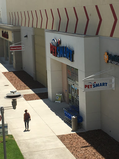 Pet Supply Store «PetSmart», reviews and photos, 1540 N Dale Mabry Hwy, Tampa, FL 33607, USA