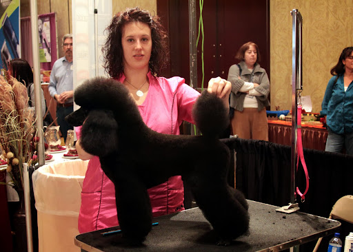 Boutique «Fetching Canine Grooming and Boutique», reviews and photos, 1490 W State Rd 434, Longwood, FL 32750, USA