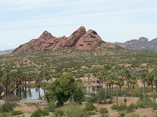 Park «Tempe Beach Park», reviews and photos, 80 W Rio Salado Pkwy, Tempe, AZ 85281, USA