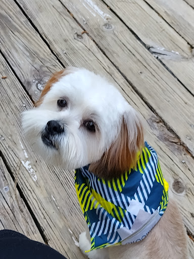 Pet Supply Store «PetSmart», reviews and photos, 860 Cobb Pl Blvd NW, Kennesaw, GA 30144, USA