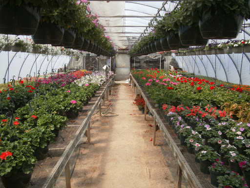 ABS Greenhouses