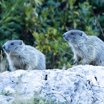 Photo n°6 de l'avis de Helle.e fait le 01/09/2022 à 11:53 sur le  Kräuterhotel Zischghof à Obereggen