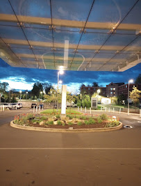 Stamford Hospital - Photo 5 - Car repair in Stamford, CT, Stamford