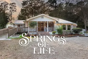 Springs of Life Health & Wellness Store image