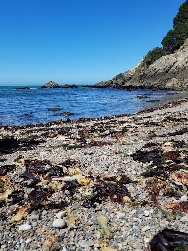 General Store «Ocean Cove General Store», reviews and photos, 23125 CA-1, Jenner, CA 95450, USA