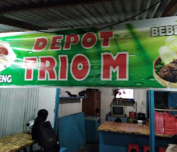 Depot Trio M photo