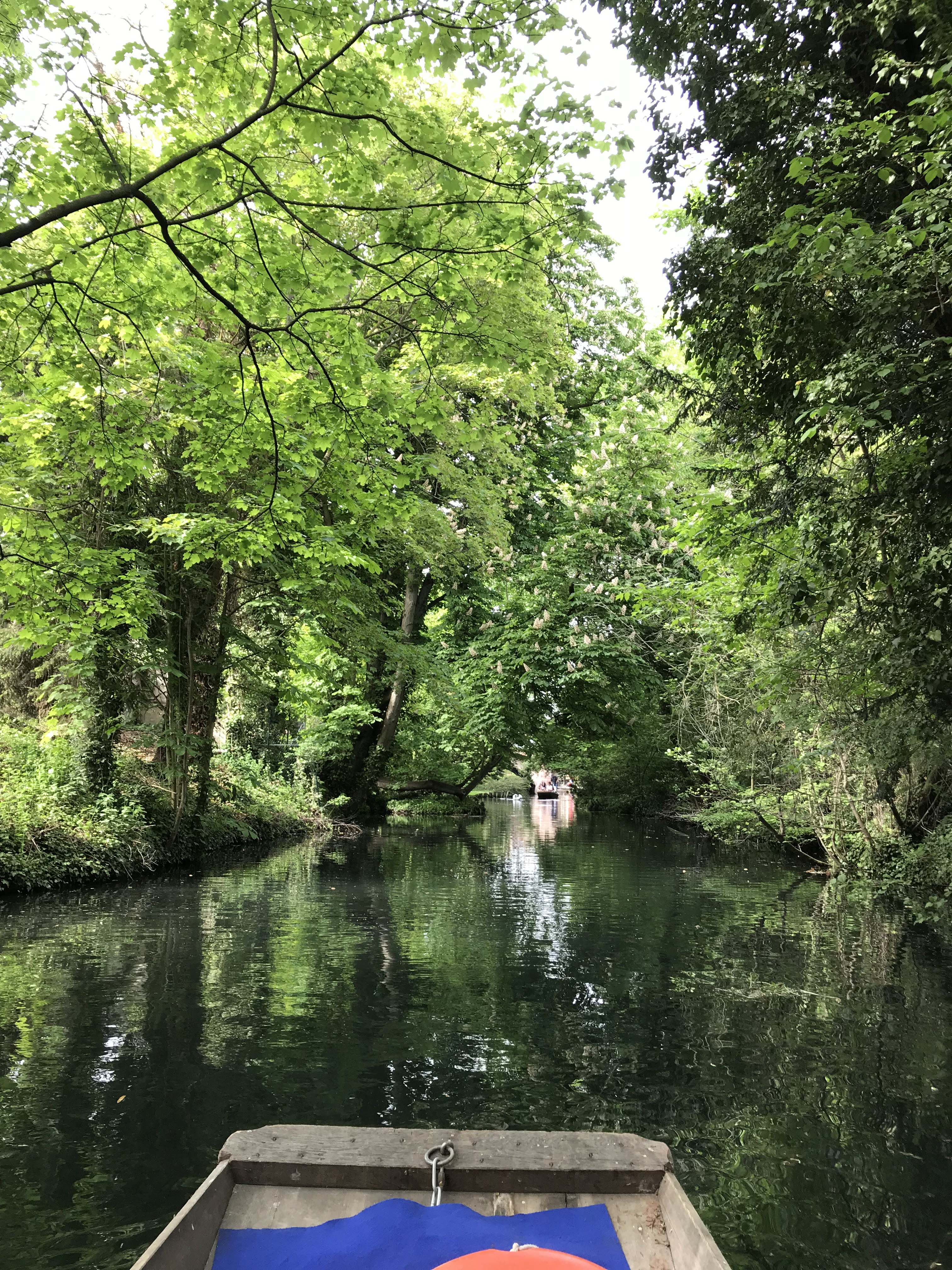 Photo n° 7 de l'avis de M.P fait le 29/04/2018 à 19:25
