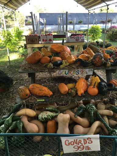 Produce Market «Crane Farm», reviews and photos, 270 S Maple Ave, Basking Ridge, NJ 07920, USA