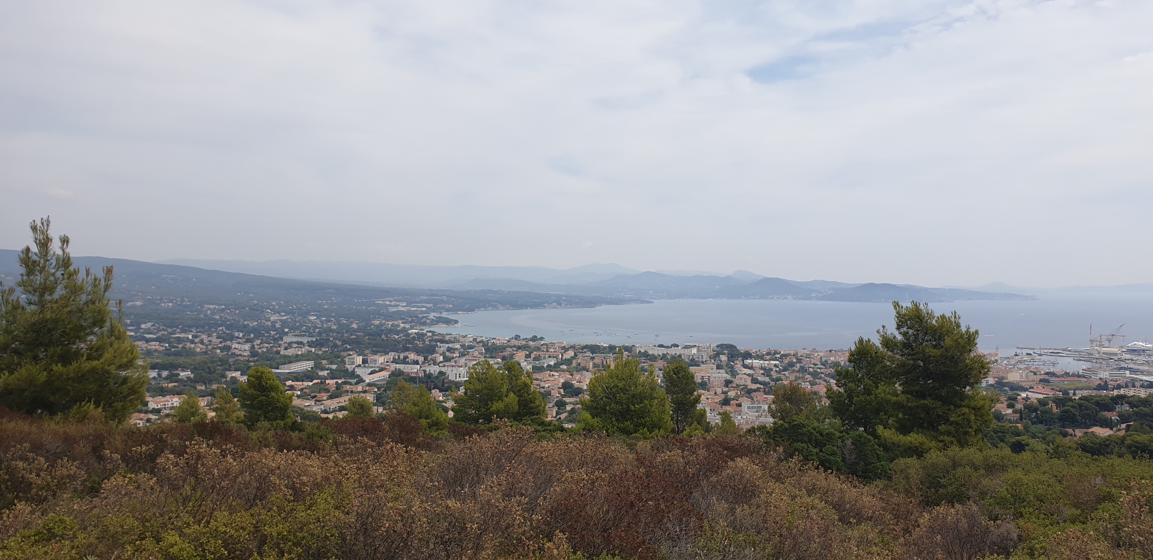 Photo n° 15 de l'avis de Bibiche. fait le 27/08/2019 à 16:18