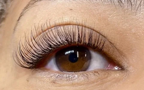 The Lash Lounge image