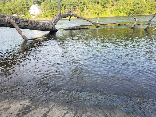 Tourist Attraction «Dinosaur Footprints», reviews and photos, US-5, Holyoke, MA 01040, USA