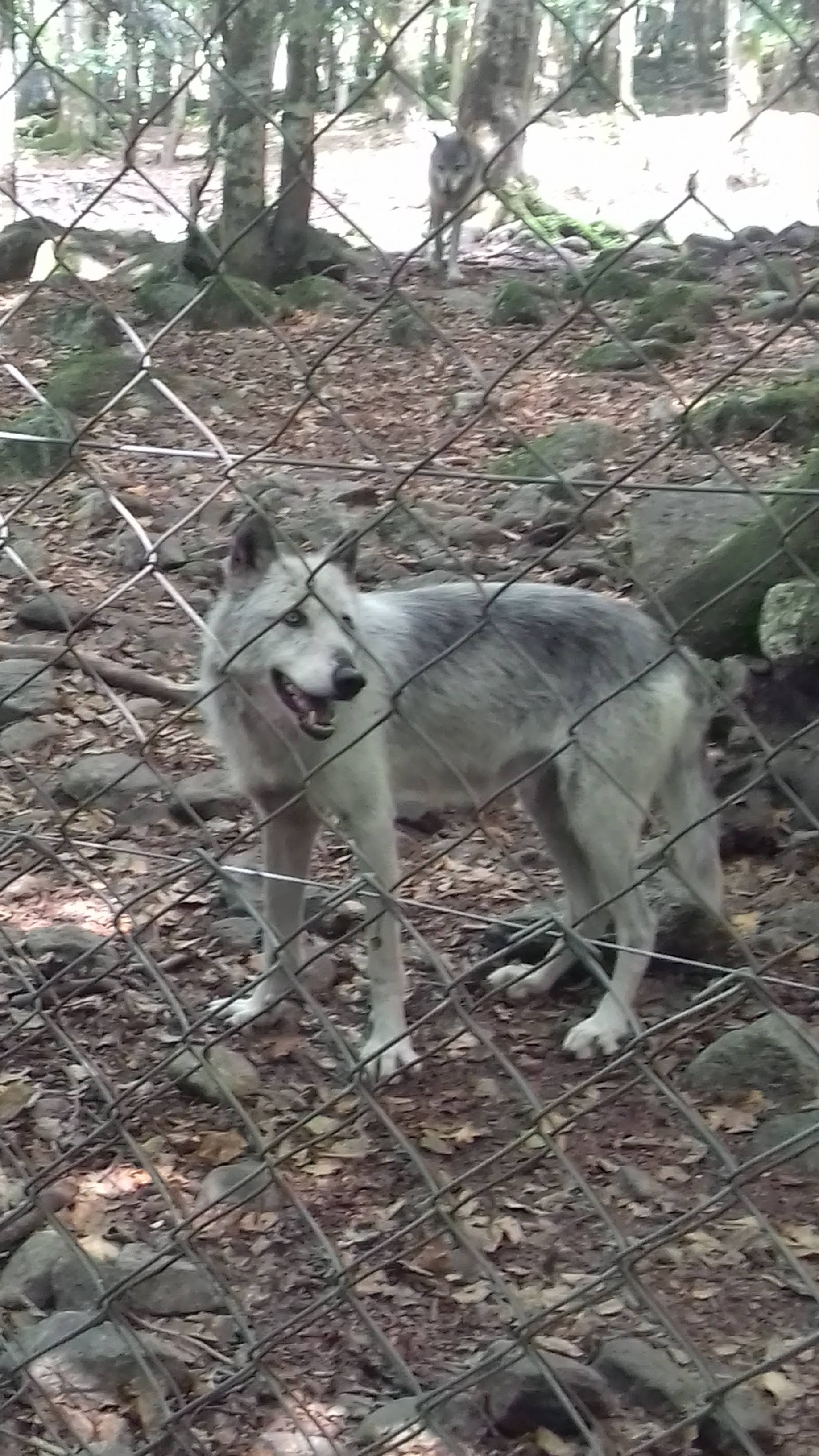 Photo n° 2 de l'avis de Anne.i fait le 09/08/2018 à 04:54