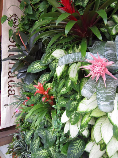 Spa «Suchada Herbal Spa», reviews and photos, 2 Division St, San Francisco, CA 94103, USA