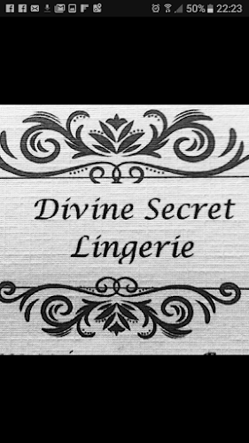 Divine Secret Lingerie - Rocha