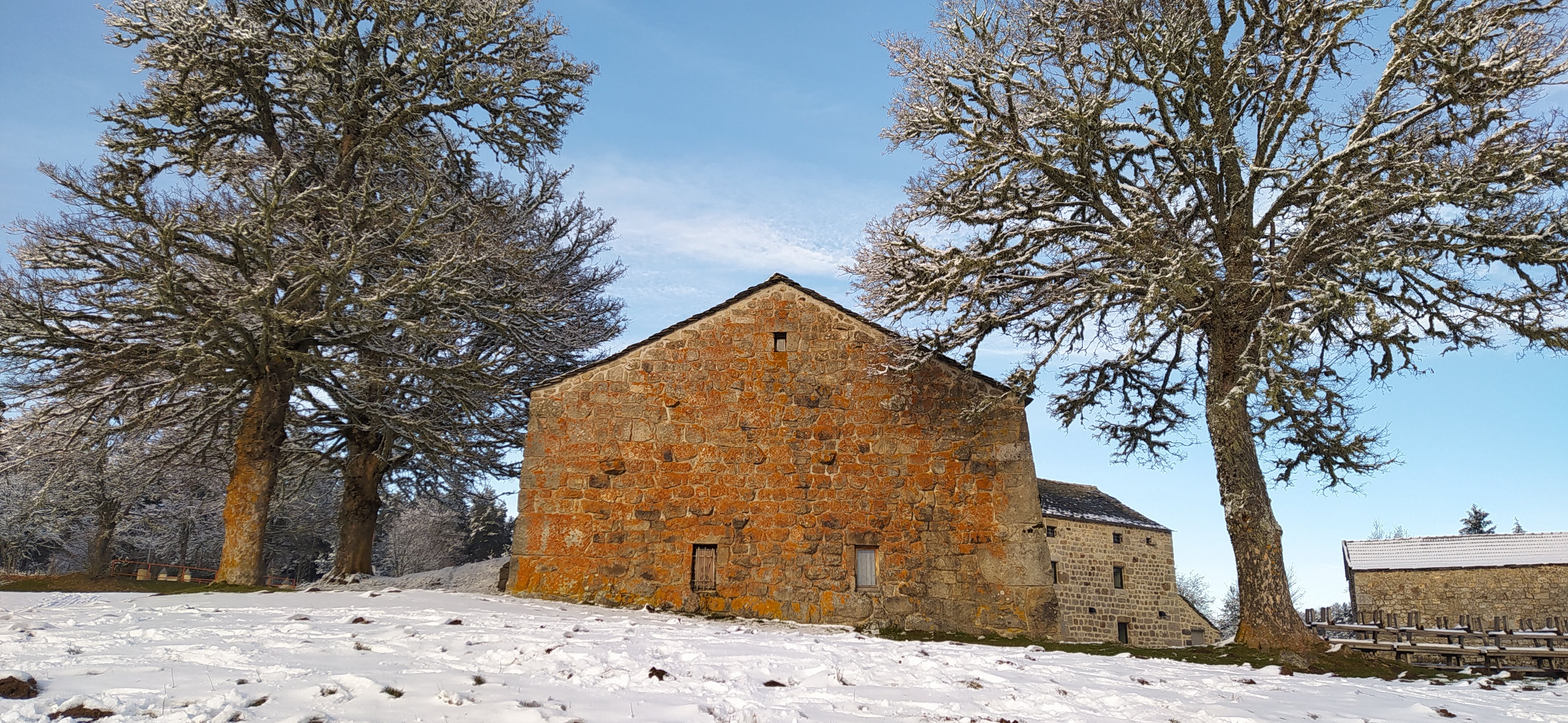 Photo n° 1 de l'avis de J'M. fait le 14/03/2021 à 06:16