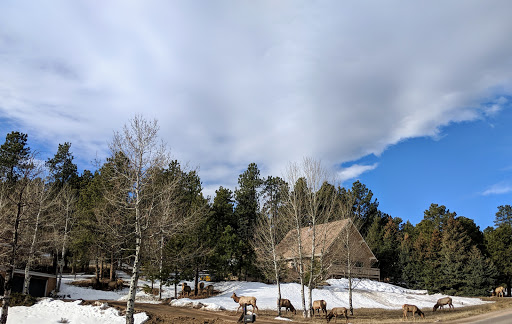 Museum «Hiwan Homestead Museum», reviews and photos, 4208 Timbervale Dr, Evergreen, CO 80439, USA