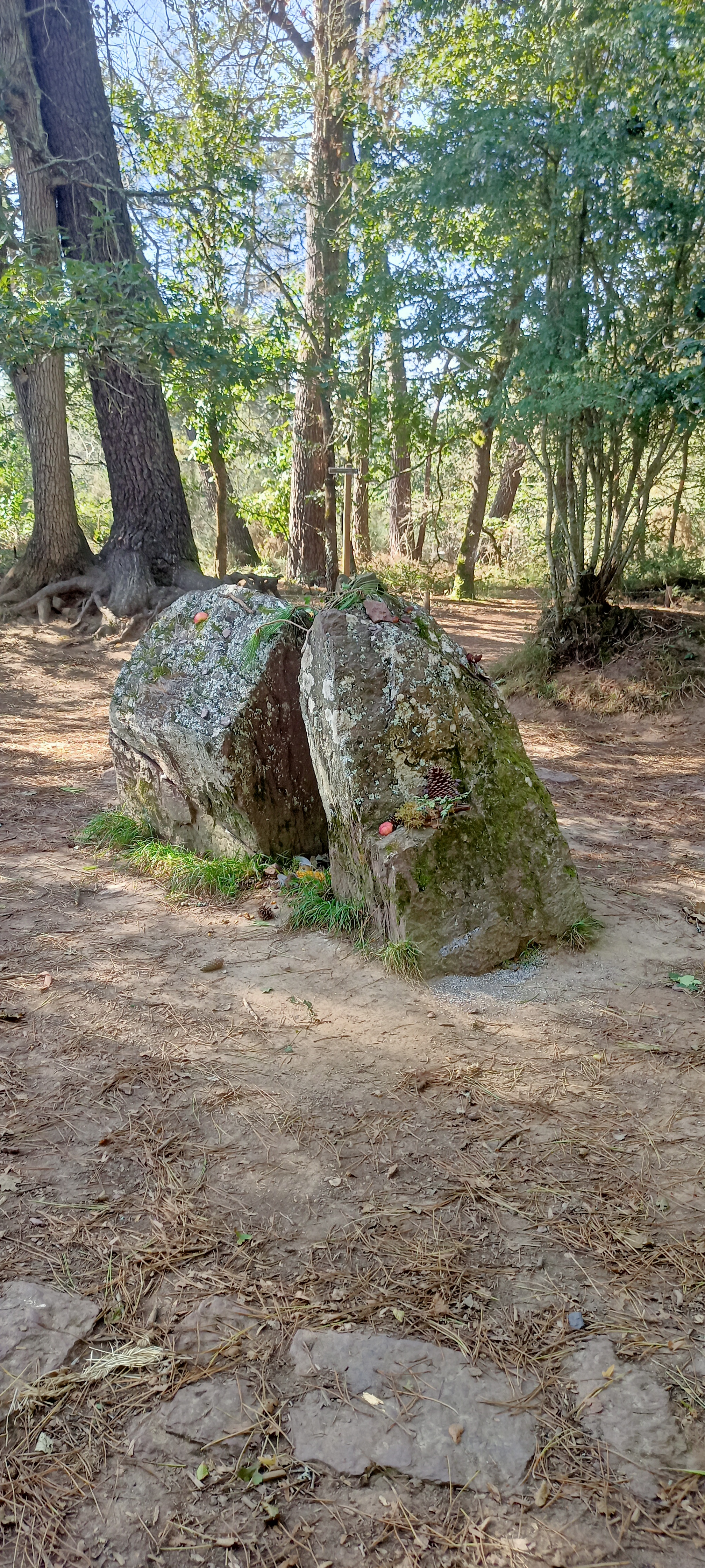 Photo n° 7 de l'avis de Angélique. fait le 08/10/2023 à 19:26