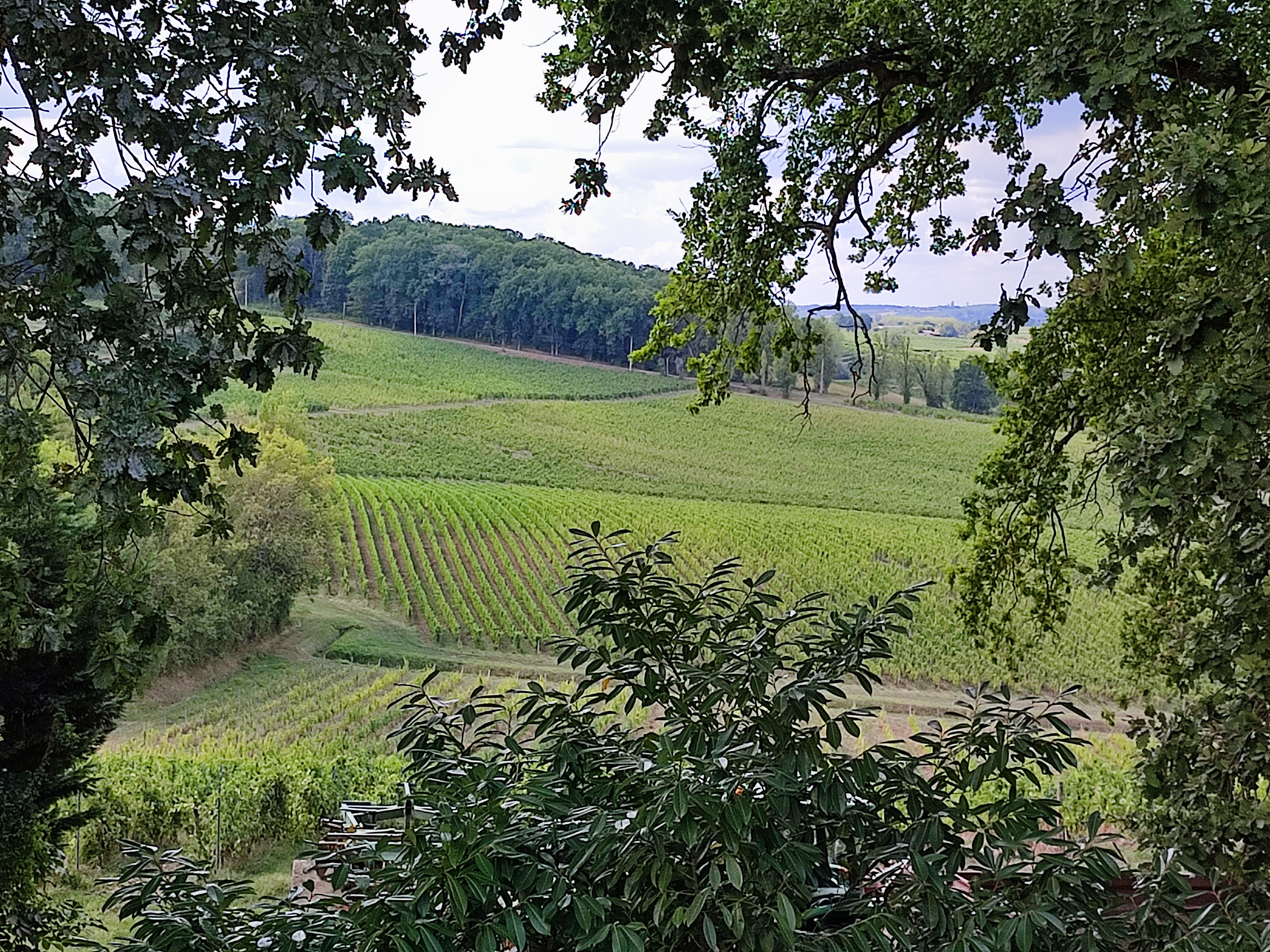 Photo n° 2 de l'avis de Emma. fait le 27/08/2022 à 14:06