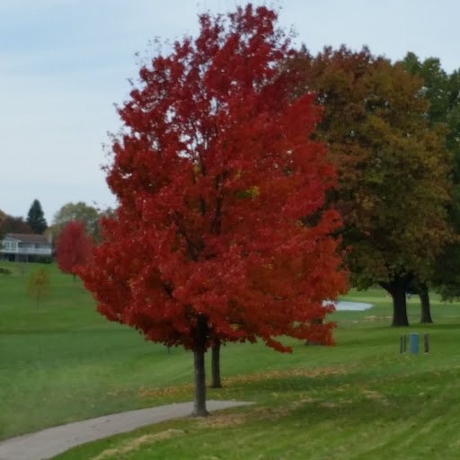 Public Golf Course «Ellis Golf Course», reviews and photos, 1401 Zika Ave NW, Cedar Rapids, IA 52405, USA