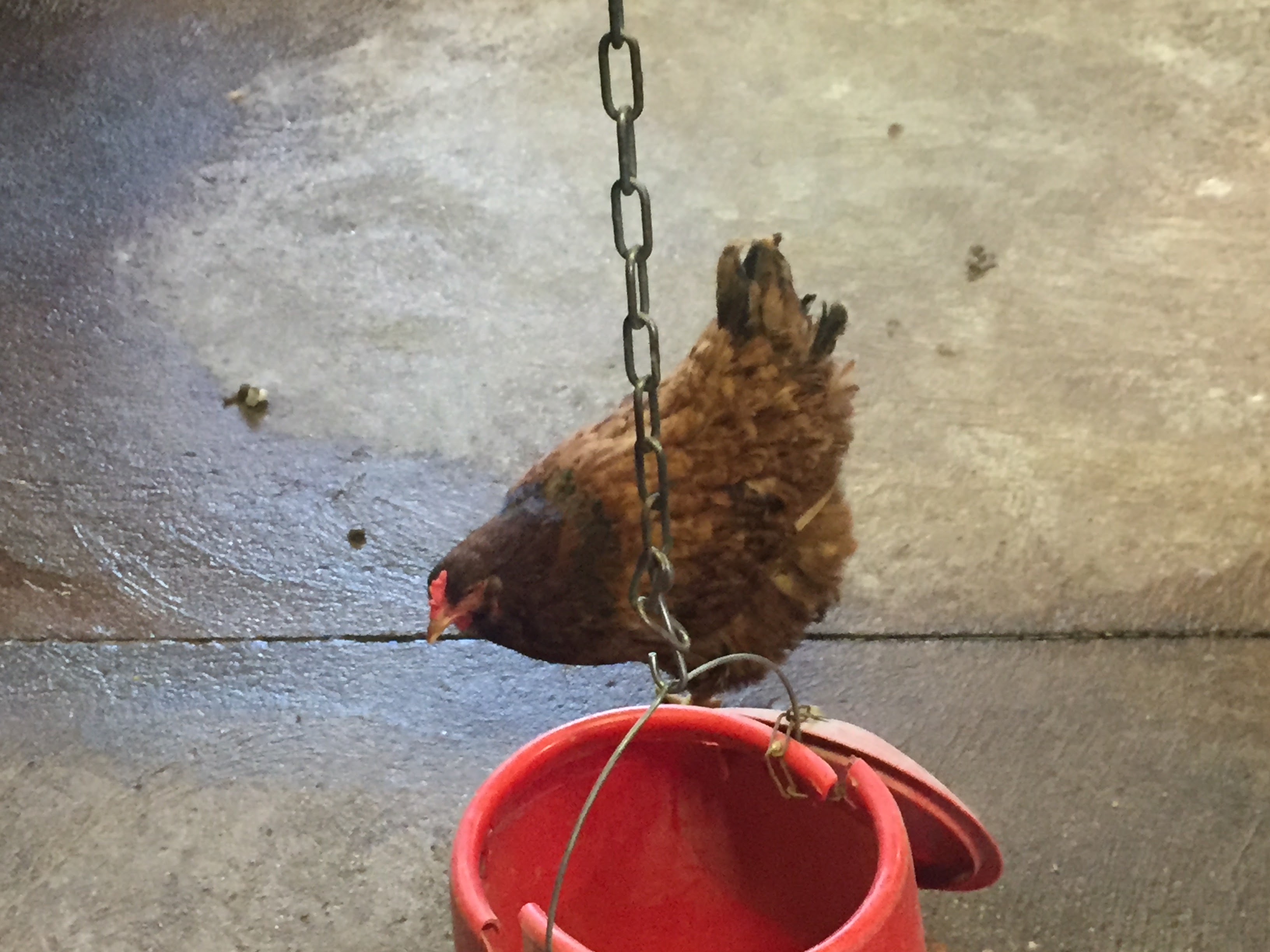 Photo n° 21 de l'avis de lou.o fait le 21/04/2018 à 14:21