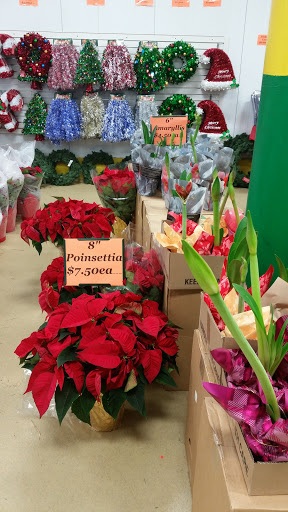 Produce Market «Produce Junction Inc», reviews and photos, 265 S Easton Rd, Glenside, PA 19038, USA