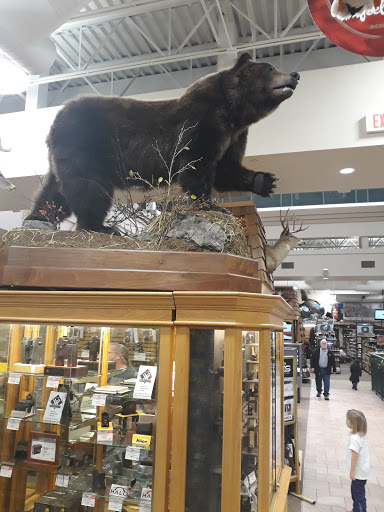 Sporting Goods Store «SCHEELS», reviews and photos, 1850 Adams St, Mankato, MN 56001, USA
