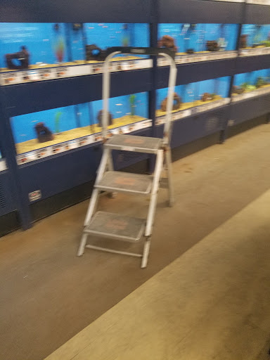 Pet Supply Store «Petco Animal Supplies», reviews and photos, 168 Ames Dr, Barre, VT 05641, USA