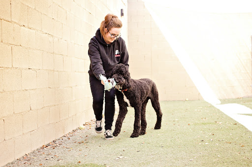 Pet Store «Market Street PET DEPOT», reviews and photos, 2979 S Market St, Gilbert, AZ 85295, USA