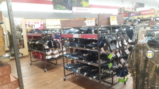 Home Improvement Store «Tractor Supply Co.», reviews and photos, 40 Dillon Plaza Dr, High Ridge, MO 63049, USA