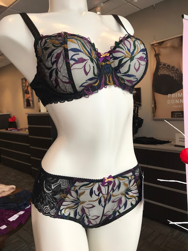 Lingerie Store «Every Body Bras & Intimates», reviews and photos, 313 Towne Dr, Fayetteville, NY 13066, USA
