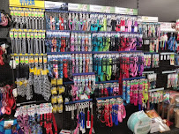 Pets Plus Hudson - Photo 5 - Car repair in Hudson, NH, Nashua