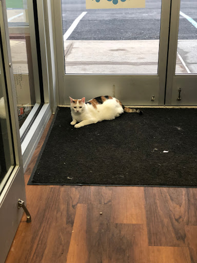 Pet Store «Pet Valu», reviews and photos, 2290 Central Park Ave, Yonkers, NY 10701, USA