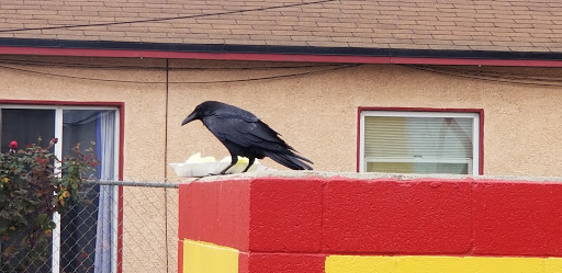 Donut Shop «Yum Yum Donuts», reviews and photos, 9 Fremont Ave, Alhambra, CA 91801, USA