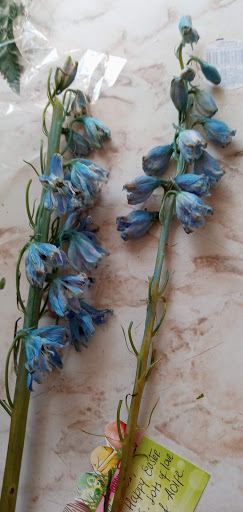 Florist «Valley Florist & Gifts Inc», reviews and photos, 73 Roosevelt Ave C, Valley Stream, NY 11581, USA