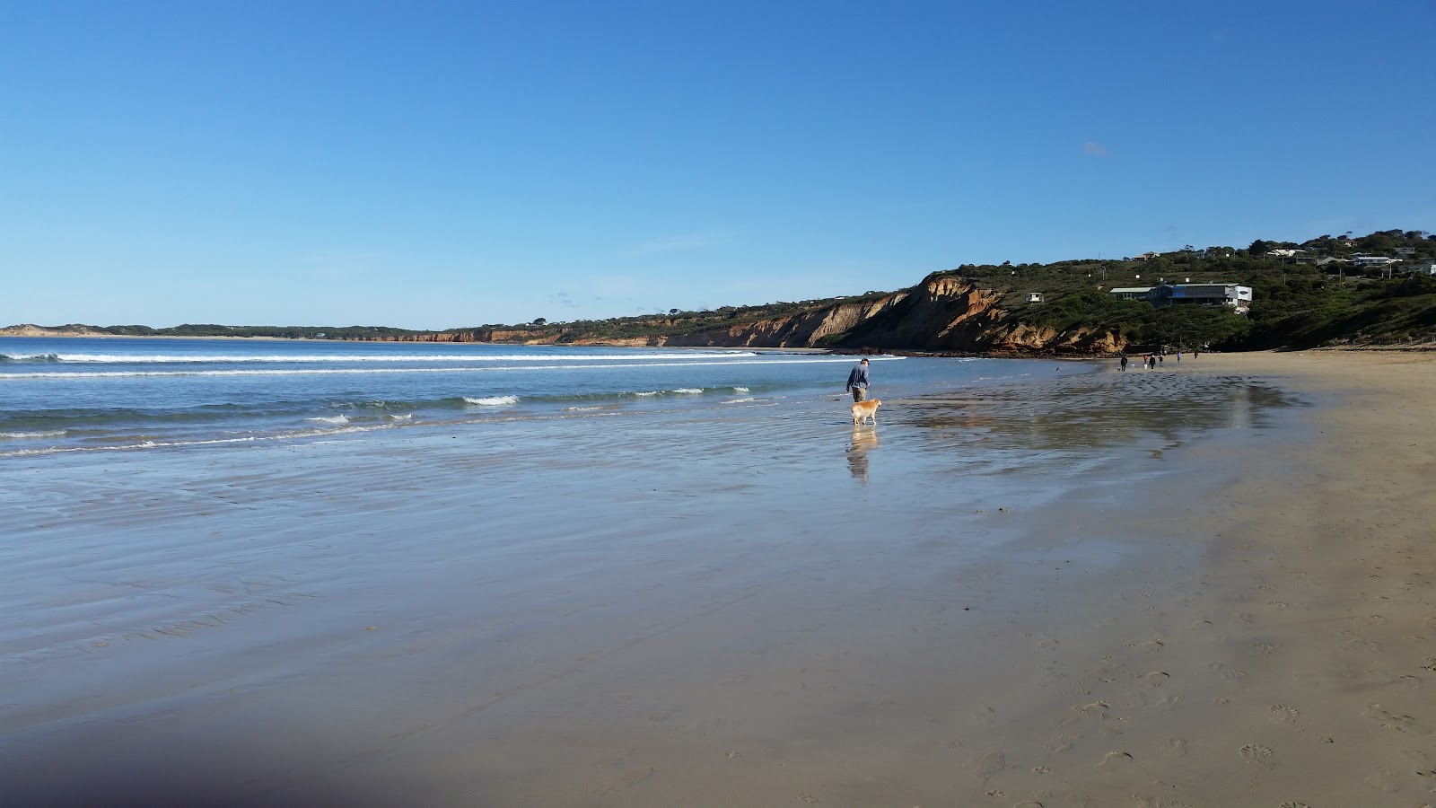 Photo of Anglesea Beach surrounded by mountains