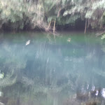 Photo n° 1 de l'avis de annick.i fait le 01/07/2021 à 09:24 pour Les fontenils ( les eaux bleues ) à Tavers