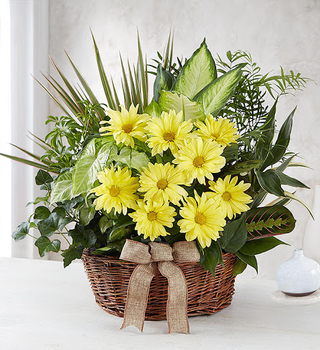 Florist «Nashville Florist & Home Décor», reviews and photos, 1305 8th Ave S, Nashville, TN 37203, USA